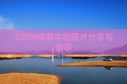 CSDN博客中的图片分享与展示